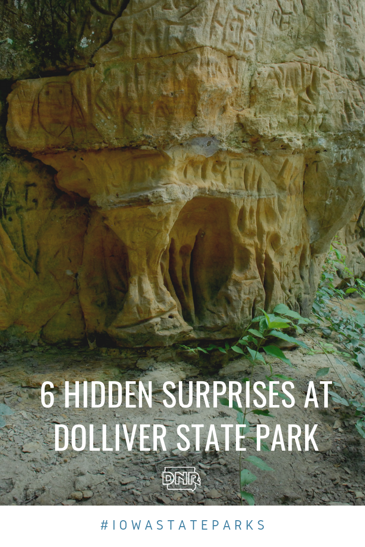 Visitors to Dolliver Memorial State Park can walk a trail to see this 100-foot sandstone bluff, which gets its name from the mineral deposits left behind from erosion of the stone. |  Iowa DNR